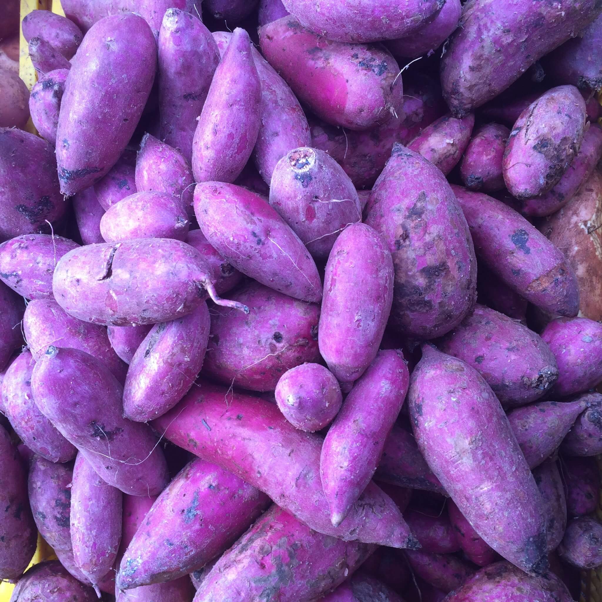 Ube potato